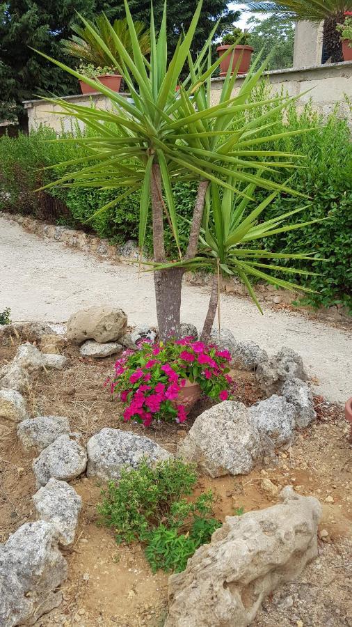 Casa Vacanze Villa Tropia Camastra Exteriér fotografie